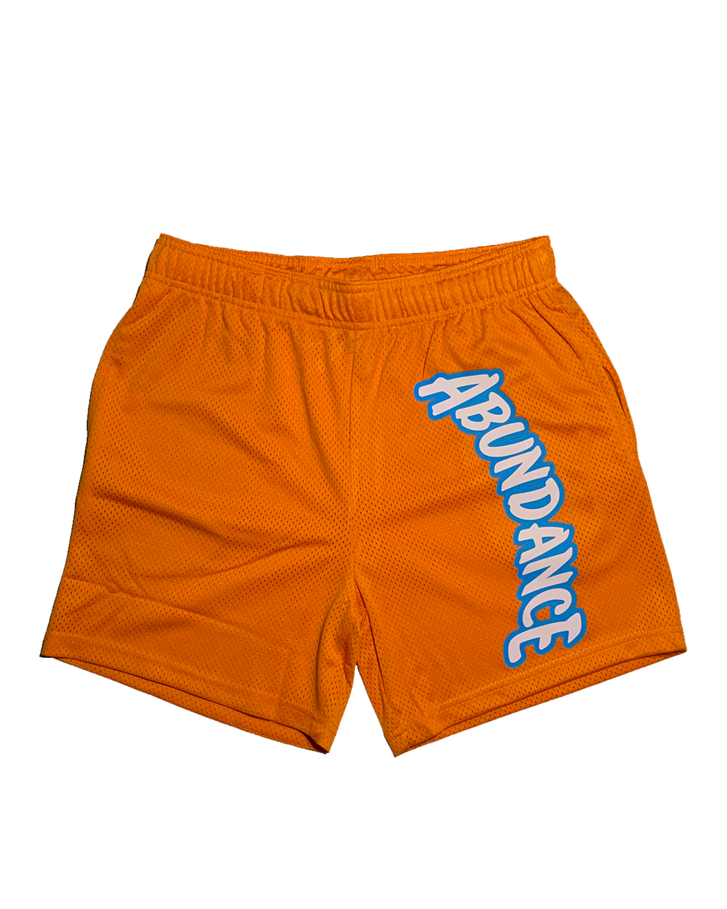 Abundance Mesh Shorts (Orange)